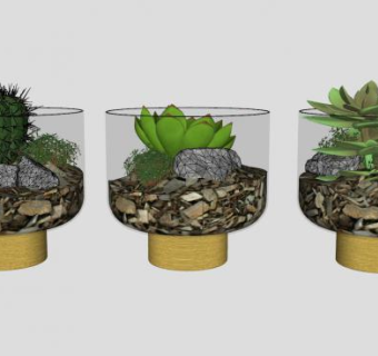 多肉植物小盆栽SU模型下载_sketchup草图大师SKP模型