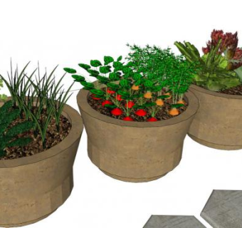 蔬菜植物su模型下载_sketchup草图大师SKP模型