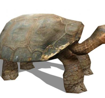 乌龟su模型下载_sketchup草图大师SKP模型