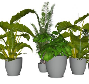 植物3dsu模型下载_sketchup草图大师SKP模型