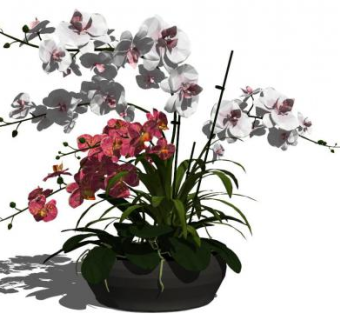 盆景花卉su模型下载_sketchup草图大师SKP模型