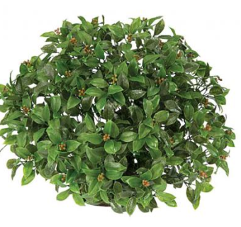 手绘灌木su模型下载_sketchup草图大师SKP模型