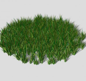 现代草坪SU模型下载_sketchup草图大师SKP模型