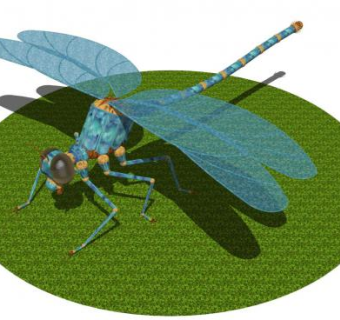 蜻蜓su模型下载_sketchup草图大师SKP模型