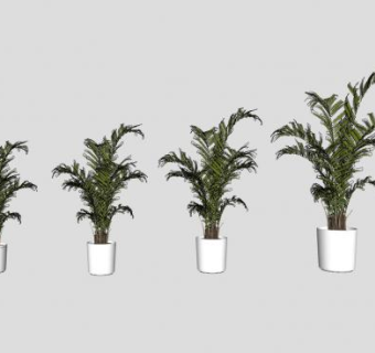 大小植物盆栽SU模型下载_sketchup草图大师SKP模型