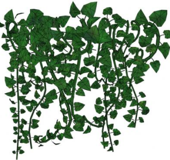 藤本植物su模型下载_sketchup草图大师SKP模型