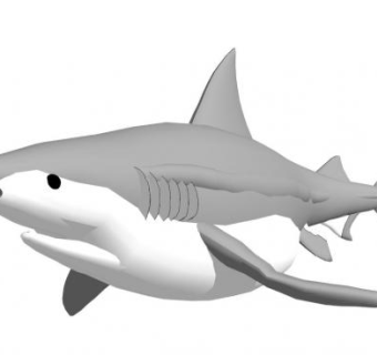 鲨鱼su模型下载_sketchup草图大师SKP模型