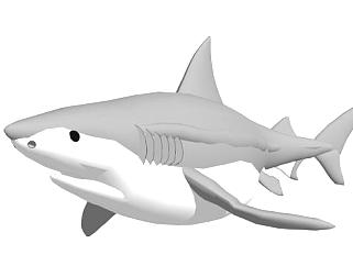 <em>鲨鱼</em>su模型下载_sketchup草图大师SKP模型