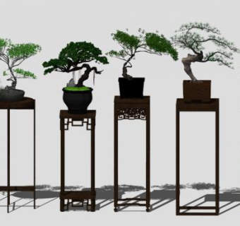 中式植物su模型下载_sketchup草图大师SKP模型