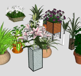 精致植物su模型下载_sketchup草图大师SKP模型