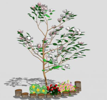 玉兰花su模型下载_sketchup草图大师SKP模型