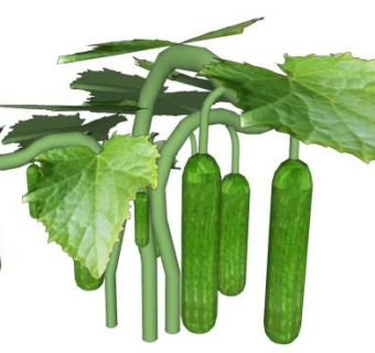 爬藤蔬菜su模型下载_sketchup草图大师SKP模型