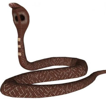 蛇su模型下载_sketchup草图大师SKP模型