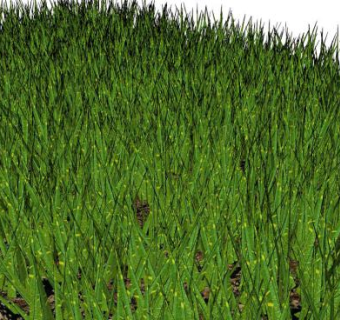 绿色草坪设计su模型下载_sketchup草图大师SKP模型