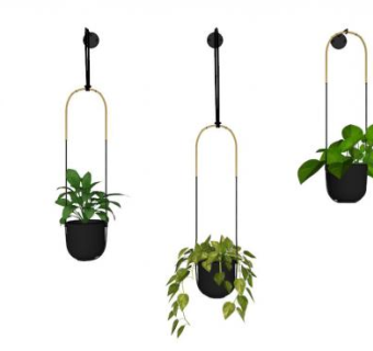 盆栽吊篮su模型下载_sketchup草图大师SKP模型