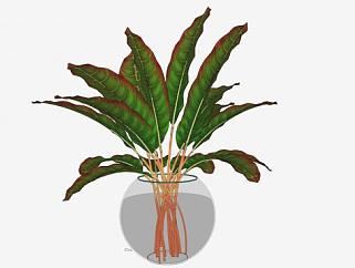 玻璃花瓶植物装饰品摆件SU模型下载_sketchup草图大师SKP模型