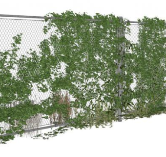 攀爬植物su模型下载_sketchup草图大师SKP模型