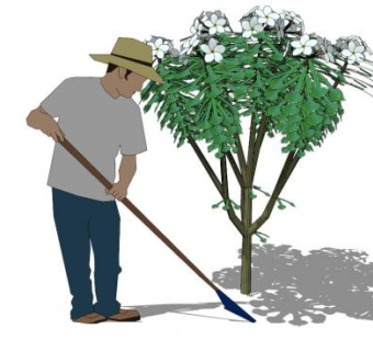 农民su模型下载_sketchup草图大师SKP模型