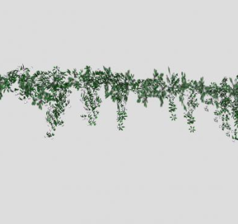 藤蔓牵牛花爬藤植物SU模型下载_sketchup草图大师SKP模型