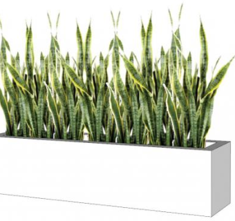 虎皮兰su模型下载_sketchup草图大师SKP模型