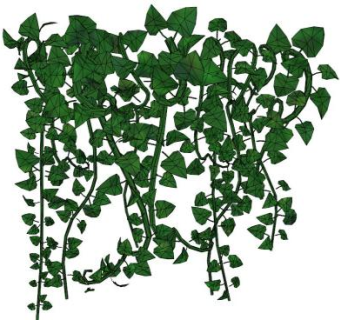 藤曼植物su模型下载_sketchup草图大师SKP模型