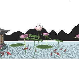 净化水质的水生植物su模型下载_sketchup草图大师SKP模型