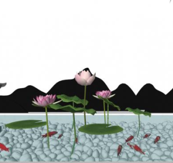 净化水质的水生植物su模型下载_sketchup草图大师SKP模型