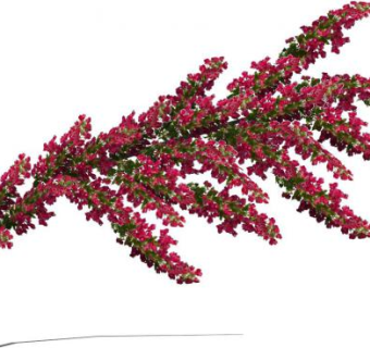 三角花su模型下载_sketchup草图大师SKP模型