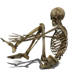 现代人物骨架SU模型下载_sketchup草图大师SKP模型