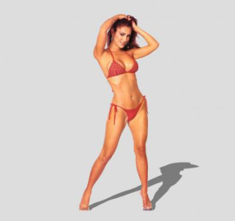 2D比基尼美女人物SU模型下载_sketchup草图大师SKP模型