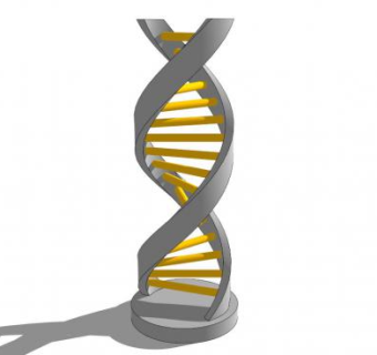 双螺旋SU模型下载_sketchup草图大师SKP模型