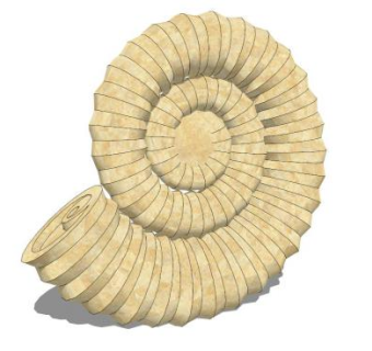 贝壳道具雕塑su模型下载_sketchup草图大师SKP模型