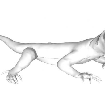 蜥蜴su模型下载_sketchup草图大师SKP模型