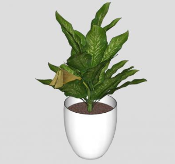 万年青su模型下载_sketchup草图大师SKP模型