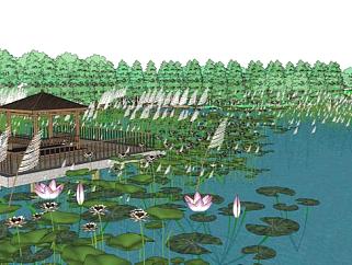 湿地公园su模型下载_sketchup草图大师SKP模型