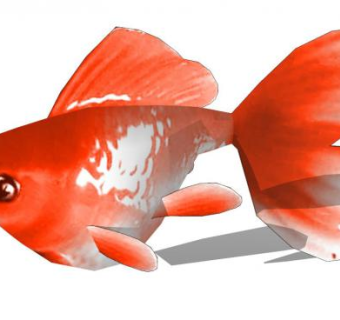 小鱼su模型下载_sketchup草图大师SKP模型