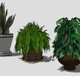 室内植物盆景系列SU模型下载_sketchup草图大师SKP模型