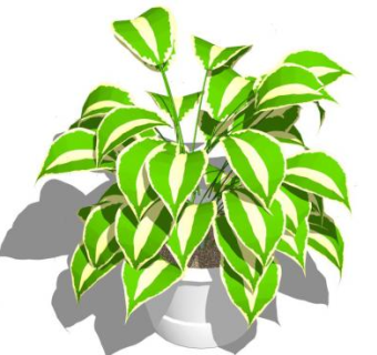 立式植物SU模型下载_sketchup草图大师SKP模型