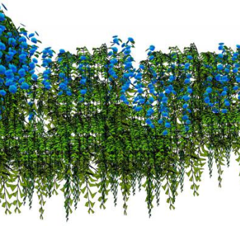 紫藤花su模型下载_sketchup草图大师SKP模型