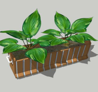 花槽植物SU模型下载_sketchup草图大师SKP模型