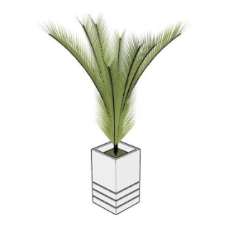 铁树盆栽SU模型下载_sketchup草图大师SKP模型