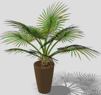 装饰棕榈陶瓷盆栽SU模型下载_sketchup草图大师SKP模型