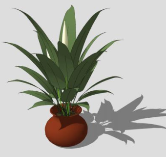 陶瓷盆栽观叶植物SU模型下载_sketchup草图大师SKP模型