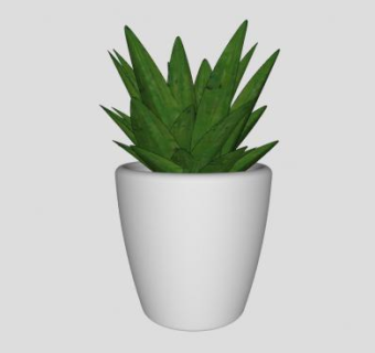 陶瓷观叶花盆SU模型下载_sketchup草图大师SKP模型