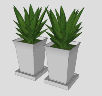 双盆栽植物SU模型下载_sketchup草图大师SKP模型