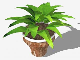 <em>室内盆栽</em>植物摆件SU模型下载_sketchup草图大师SKP模型