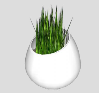 现代观草盆栽SU模型下载_sketchup草图大师SKP模型