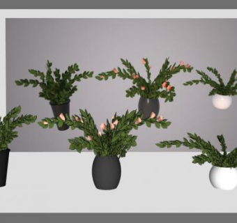 现代室内盆景摆件SU模型下载_sketchup草图大师SKP模型