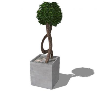 园艺树盆栽SU模型下载_sketchup草图大师SKP模型