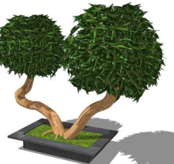 户外园艺植物盆栽SU模型下载_sketchup草图大师SKP模型